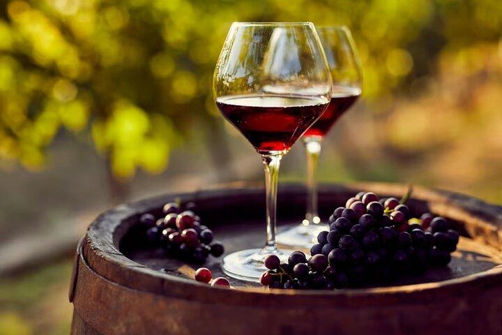 Luksus Tour Buggy Wine Route i Penedès fra Barcelona