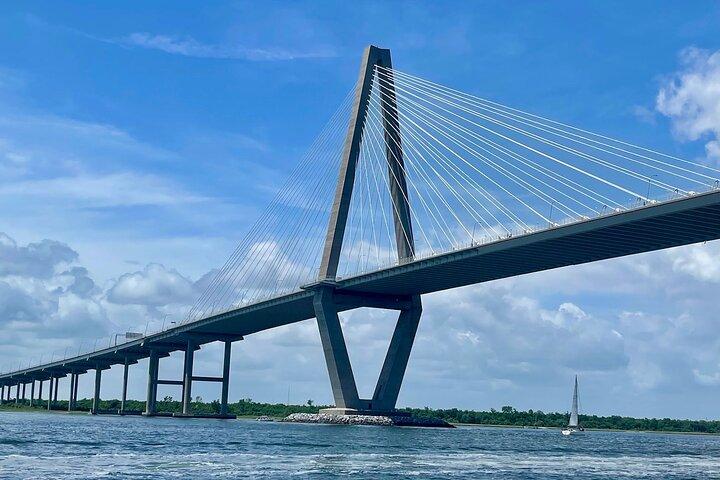 Offentlig Charleston Harbor Boat Cruise: Familievenlig Scenic
