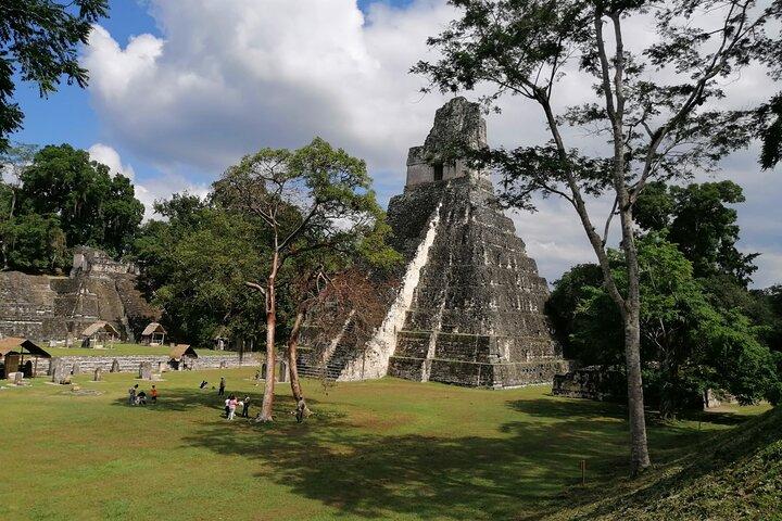 Privat VIP-tur i Tikal från Flores