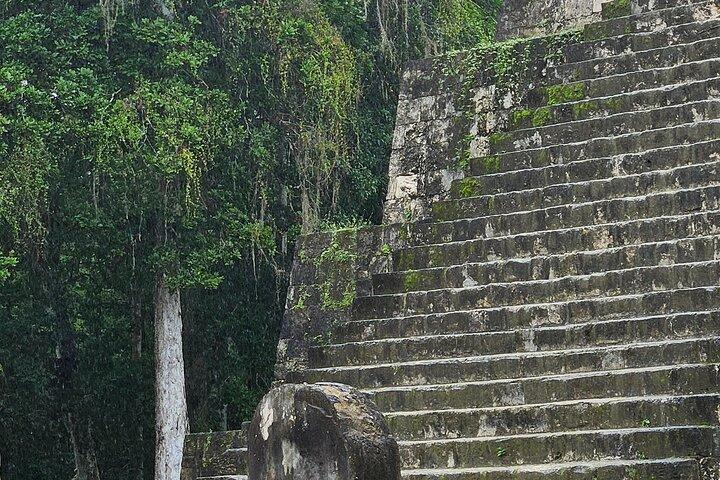 Privat VIP-tur i Tikal från Flores