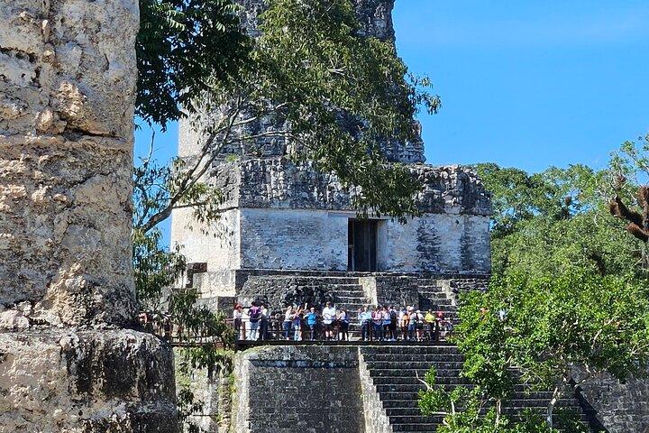 Privat VIP-tur i Tikal från Flores