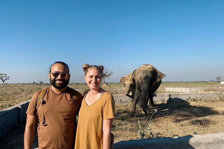 From Agra: Elephant Rescue Center Visits by AC Vehicle transfers