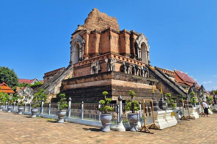 Visite à pied du temple de Chiang Mai et méditation avec un ancien moine 1