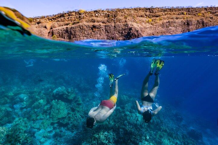 Kealakekua Bay Snorkeling privato e guardia del delfino