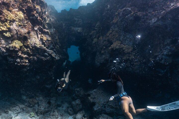 Kealakekua Bay Snorkeling privato e guardia del delfino