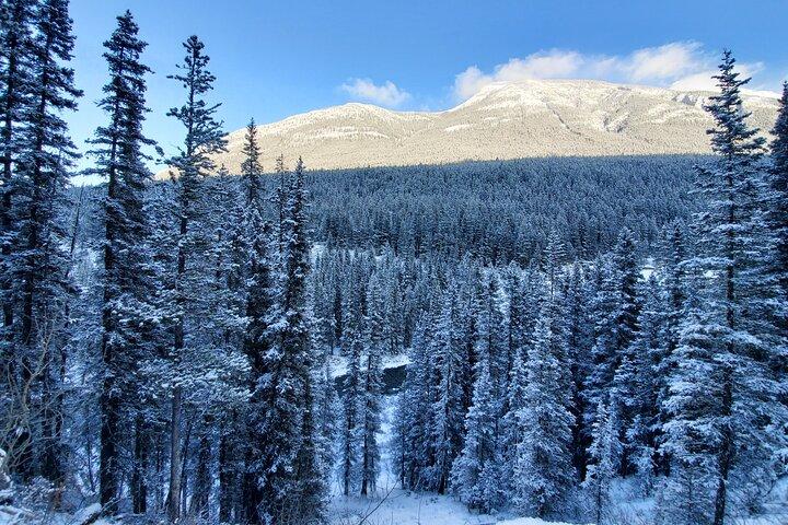 Wanderung Joffre Lake, Whistler & Shannon Falls Tour