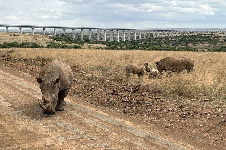 Nairobi National Park Meio dia de Game Drive com Hotel Pickup