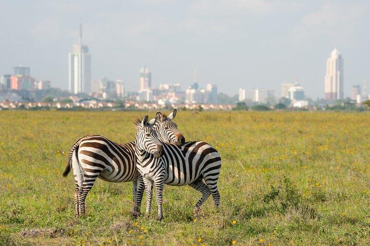 Nairobi National Park Meio dia de Game Drive com Hotel Pickup
