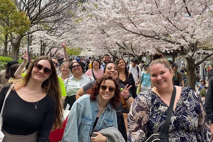 Sakura Picnic "Hanami" in Osaka - Spring Only