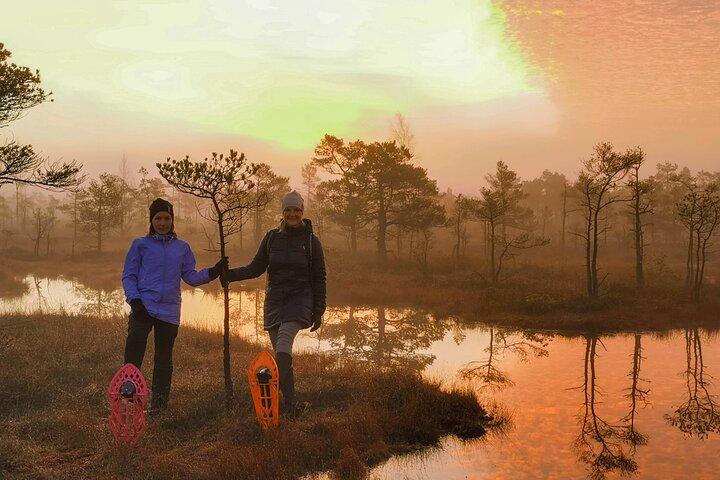 From Riga: Bog-Shoe Walk in Latvia’s Wild Nature ENG or DE