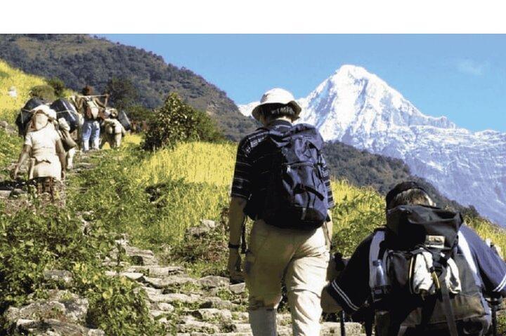ポカラ: 忘れられないポカラとアンナプルナ山麓日帰りハイキング