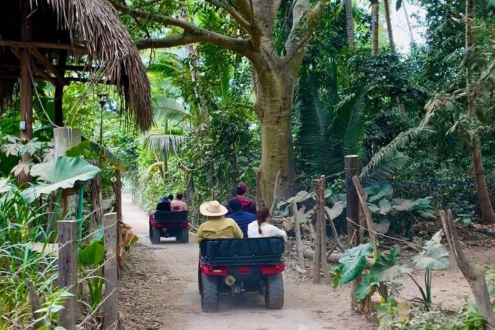 Yelapa äventyr, Los Arcos, Snorkling och Village Discovery!