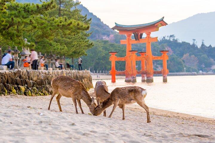 Miyajima Island Dagstur i hellige steder og Mount Misen
