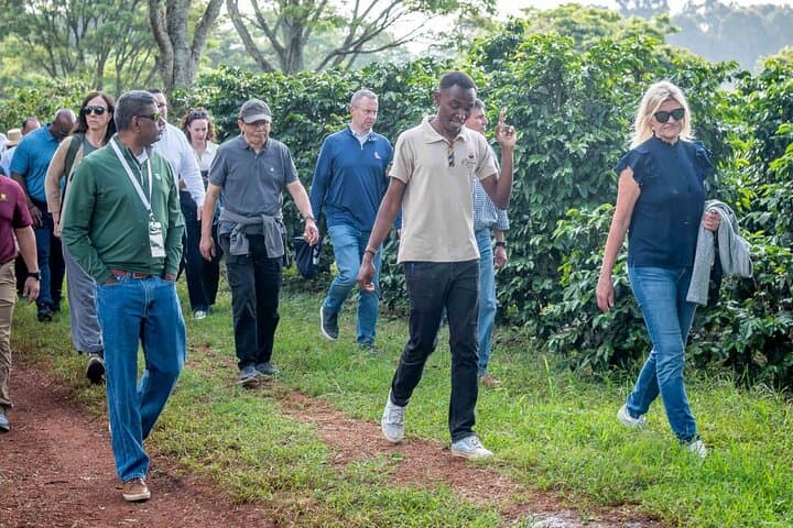 Nairobi Fairview Coffee Farm Tour and Tasting experience