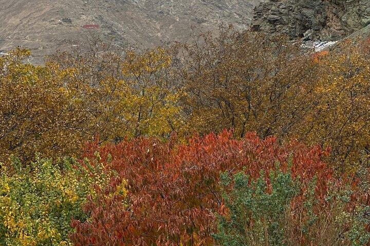 Atlas Mountain Imlil Waterval & Berberdorpen Kamelentocht