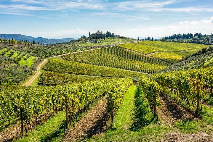 San Gimignano e Wine Experience nel Chianti dal porto di Livorno