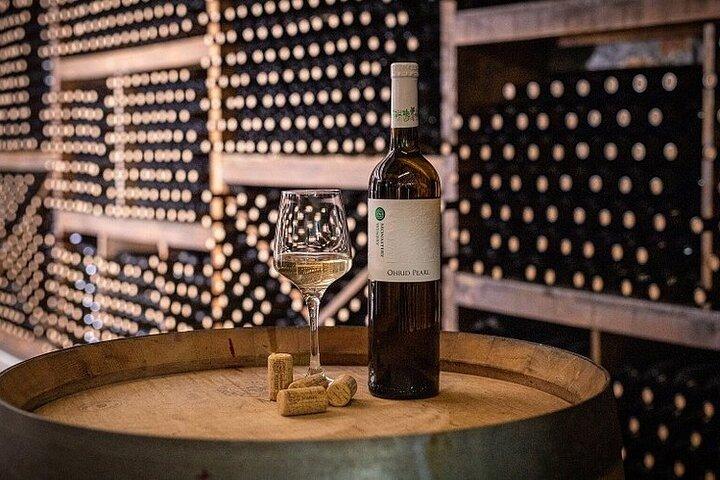 San Gimignano e Wine Experience nel Chianti dal porto di Livorno