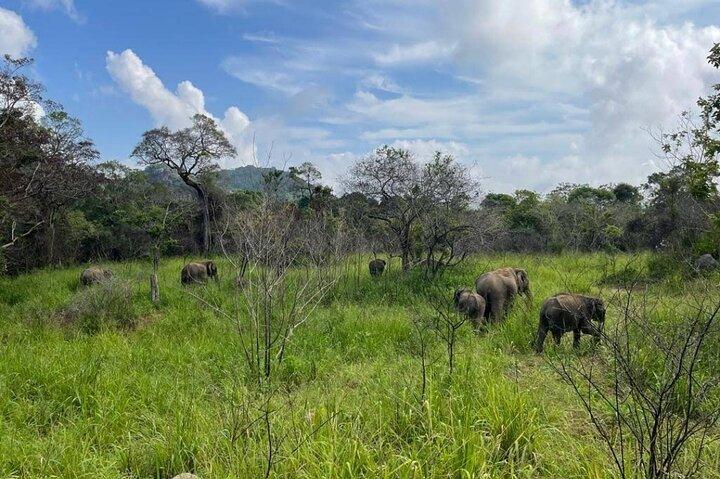 Hurulu Eco Park Safari Abenteuer