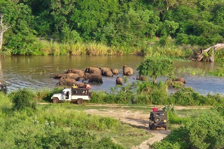 Hurulu Eco Park Safari Abenteuer
