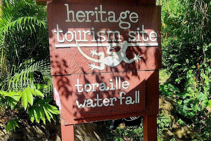 Private La Soufriere Drive-In Vulkan Minibus Tour St Lucia