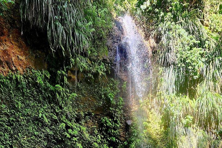 Private La Soufriere Drive-In Vulkan Minibus Tour St Lucia