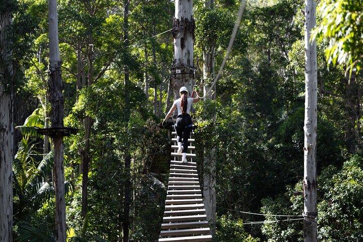 Parco avventura Tamborine Mountain High Ropes e Zipline