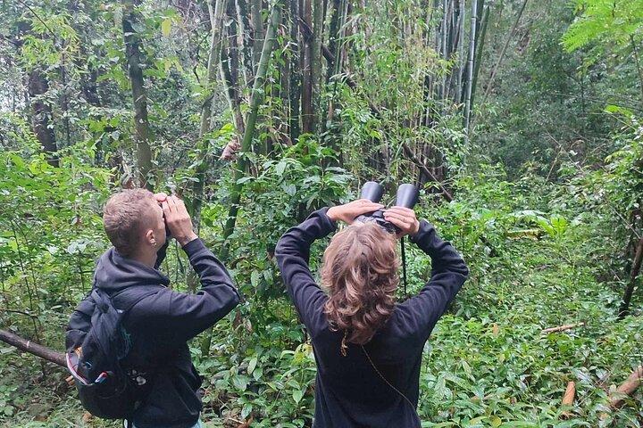Gibbon Conservation and Cultural 2 - Journées Aventure