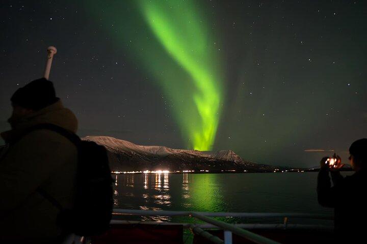 Noorderlichtcruise vanuit het centrum van Reykjavik
