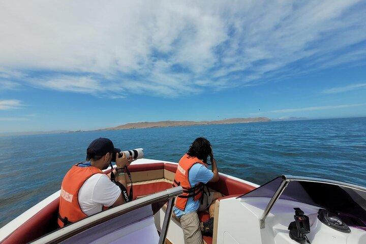 Tour privado Ilhas Ballestas e Isla Blanca saindo de Paracas