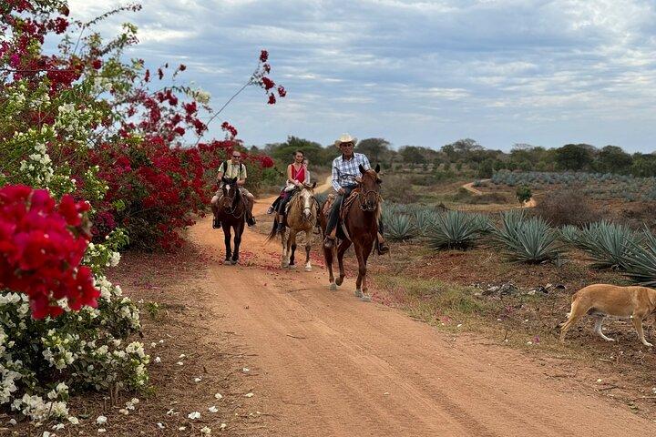 Tour combinato in ATV e a cavallo da Mazatlán