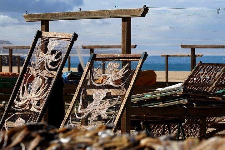 Aveiro, Nazaré e Óbidos - Tour privato da Porto