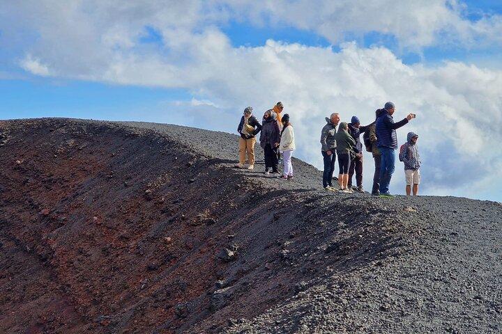 Monte Etna Vulcano: Tour Privato Per Crocieristi Da Messina