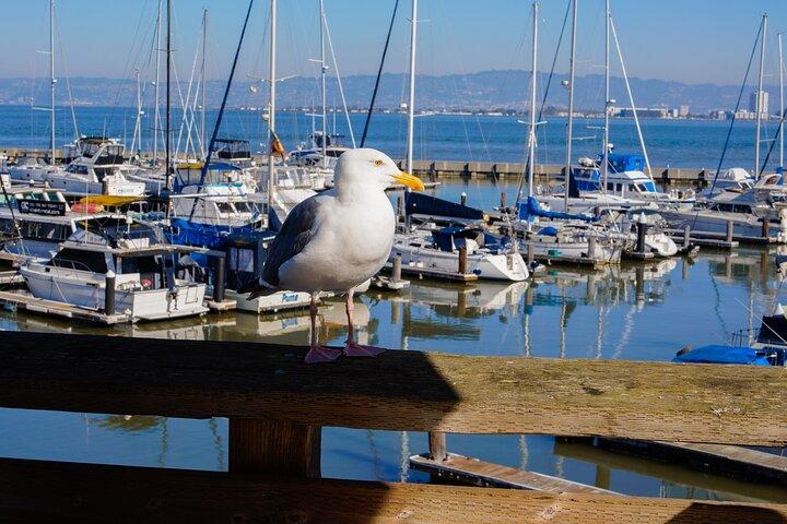 Fisherman’s Wharf & Pier 39 Food Tour - Include pasto completo, 3 ore