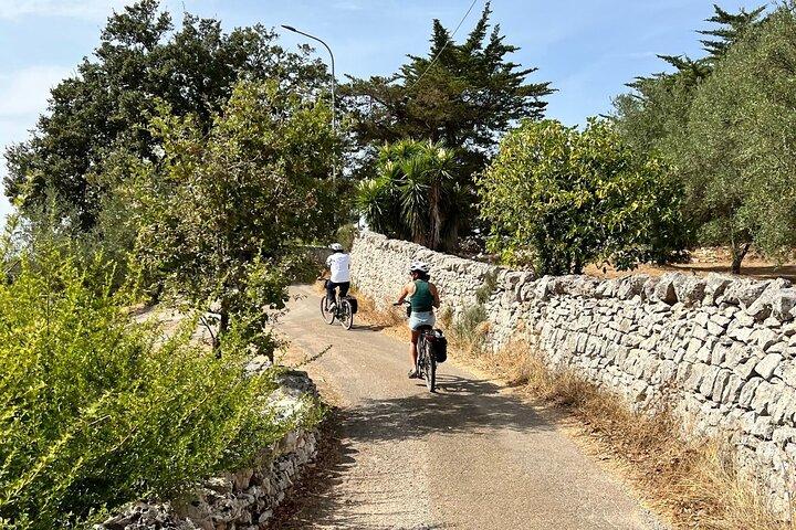 Cisternino Locorotondo Ebike Tour com parada de gelato