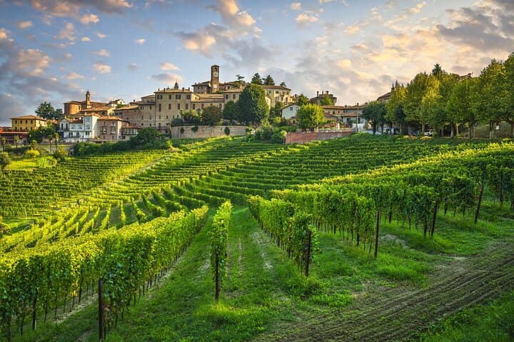 Private Barolo Wine Tour from Milan – Boutique Winery & Pick-up