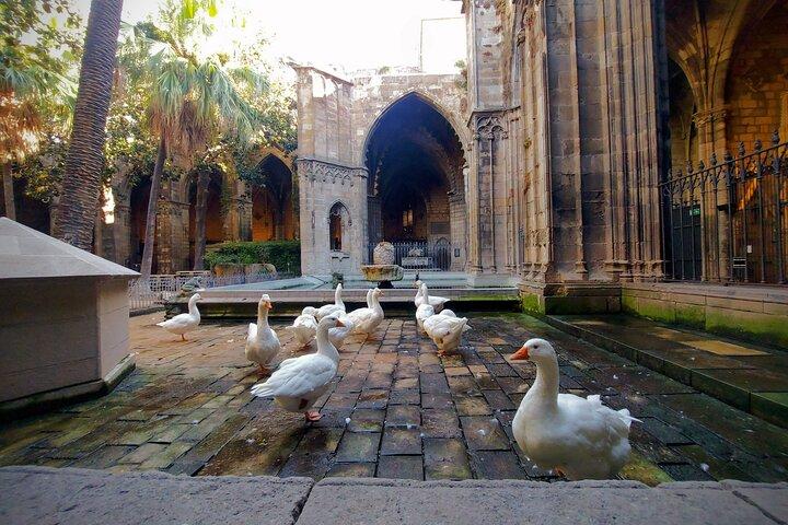 Barcelona Old City and Hidden Gems Private Walking Tour