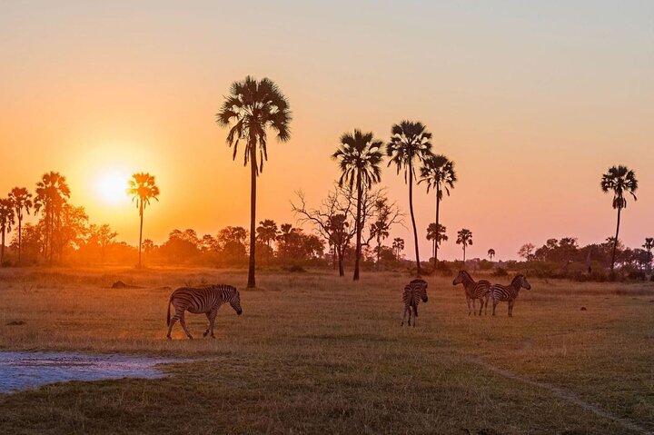 Cape Town Big Five Sunset Game Drive with Ticket & Transport