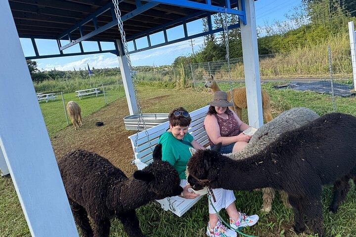 Alpaca Farm Experience sulla strada per Hana