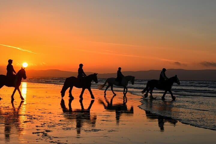 Horse Riding in Agadir on the Beach – Sunset Guided Tour