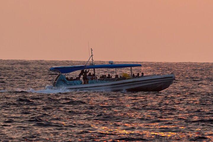 Tour di osservazione delle balene - Big Island, Hawaii