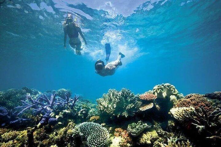 Bali Snorkeling en Blue Lagoon con traslado privado