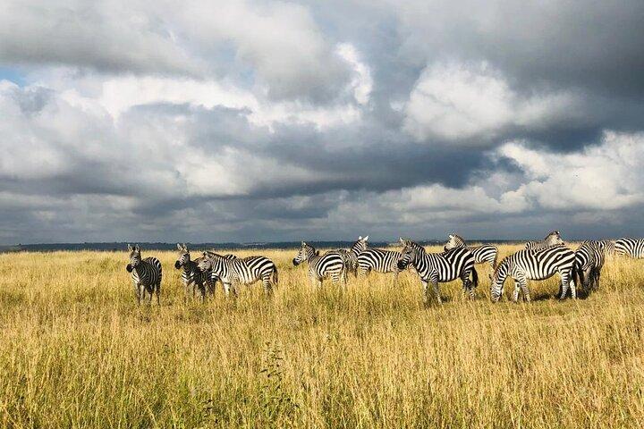 3-tägige Maasai Mara Safari Route