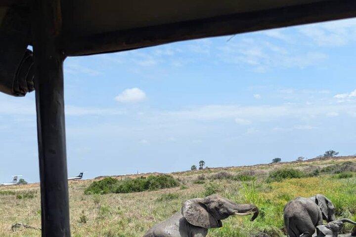 Dagstur till Mikumi nationalpark med tåg från Dar Es Salaam