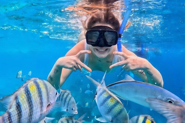 Isla Mujeres Catamaran + Snorkel + Open Bar om bord + Buffet