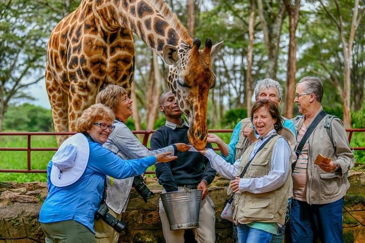 Nairobi Museum Snake Park Giraffe Center and Beads Center Tour