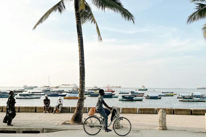 Jozani Forest, Spice Farm e Stone Town