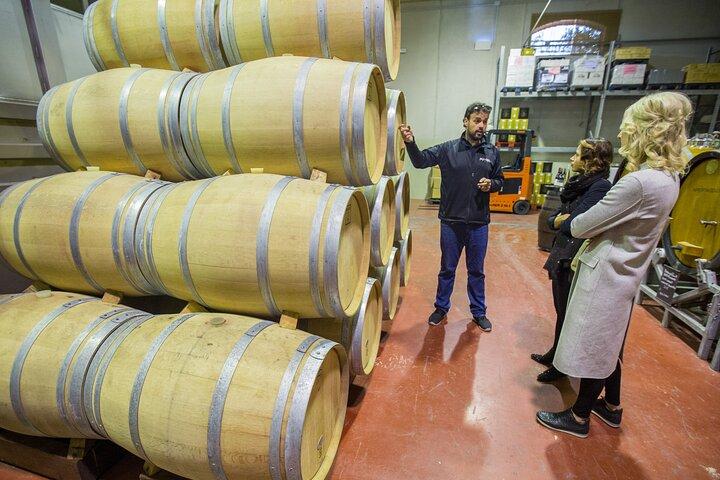 Alicante Rural Wine Small Group Tour com 4 degustações