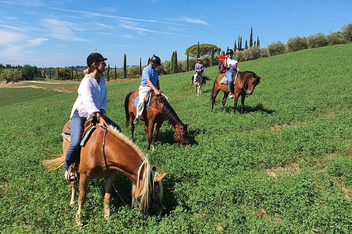 Aventure équestre dans la campagne toscane