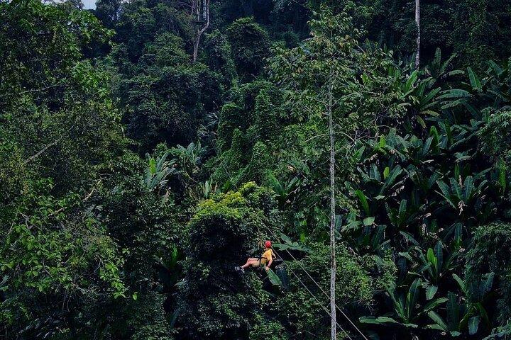 Sky Hawk Zipline Chiang Mai – Ultimate Canopy Adventure