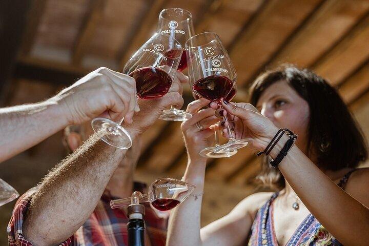 De Siena Brunello di Montalcino Wine Tour com almoço